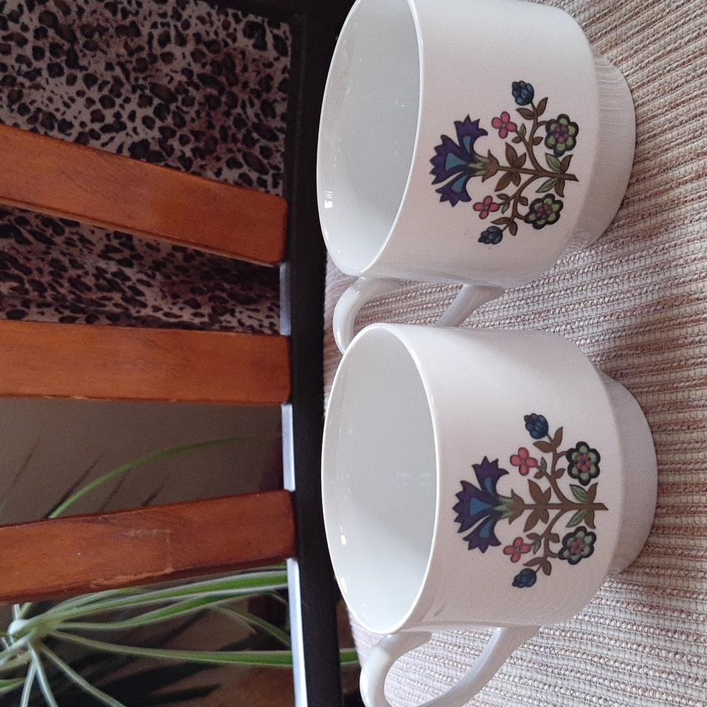 💋FREE WITH PURCHASE OVER $20💋 Midwinter set of 2 vintage cups - Picture 5 of 9